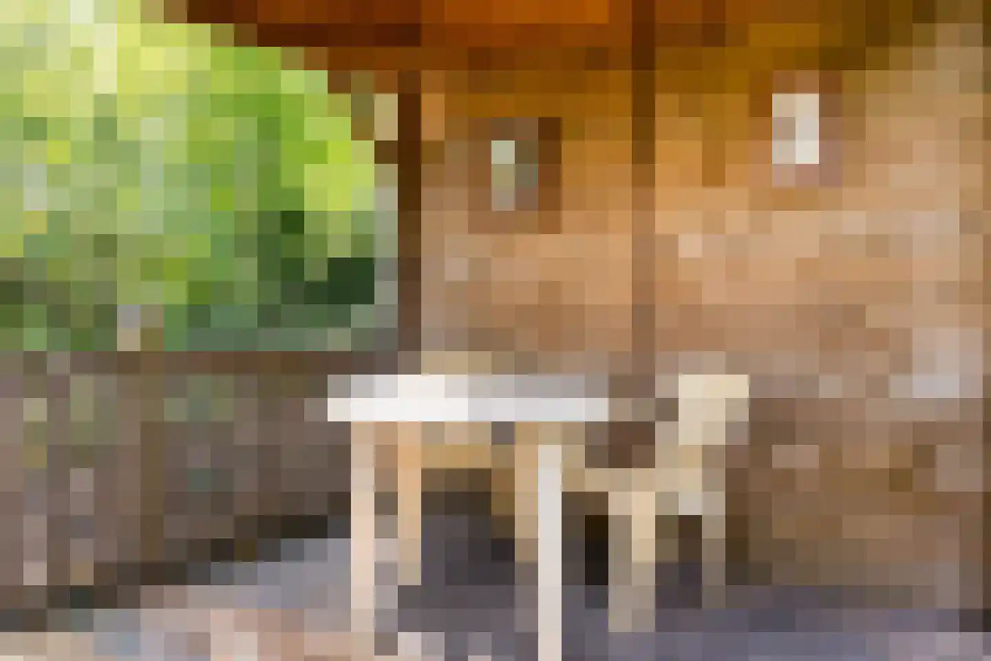 Stoffels 220 Uden thumbnail 73