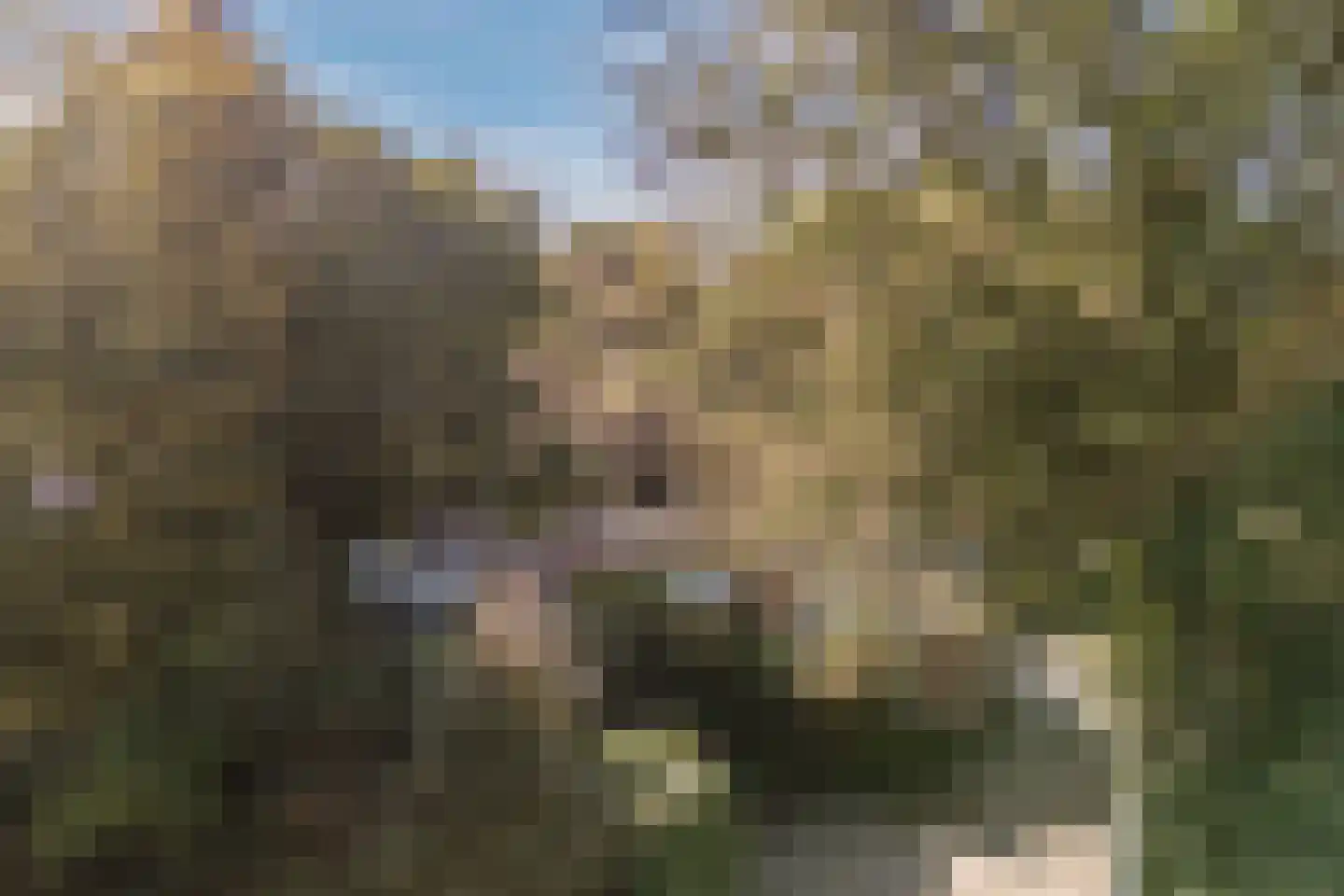 Stoffels 220 Uden thumbnail 8