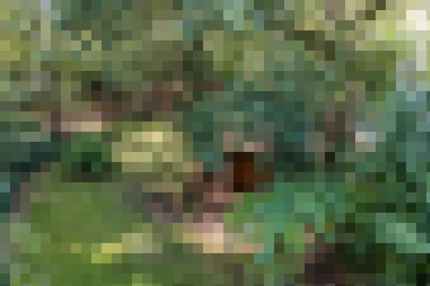 Stoffels 220 Uden thumbnail 80