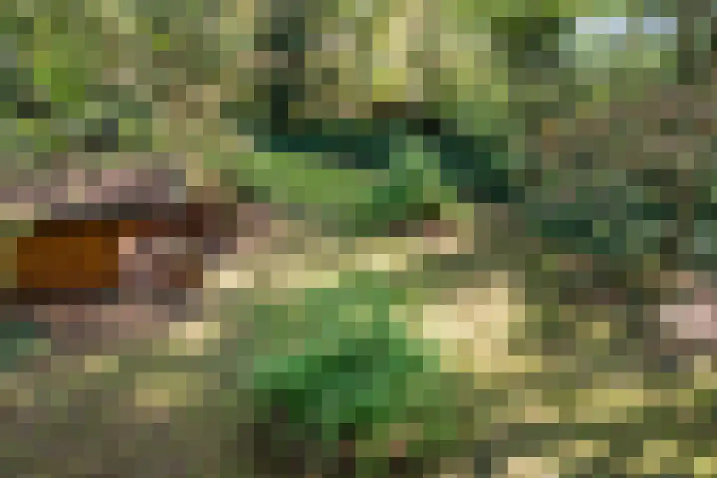 Stoffels 220 Uden thumbnail 81