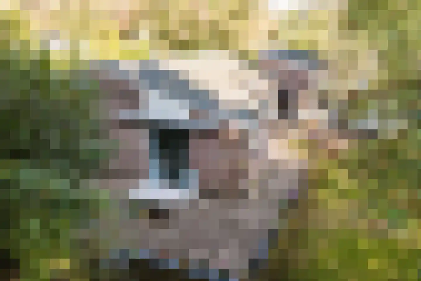 Stoffels 220 Uden thumbnail 82