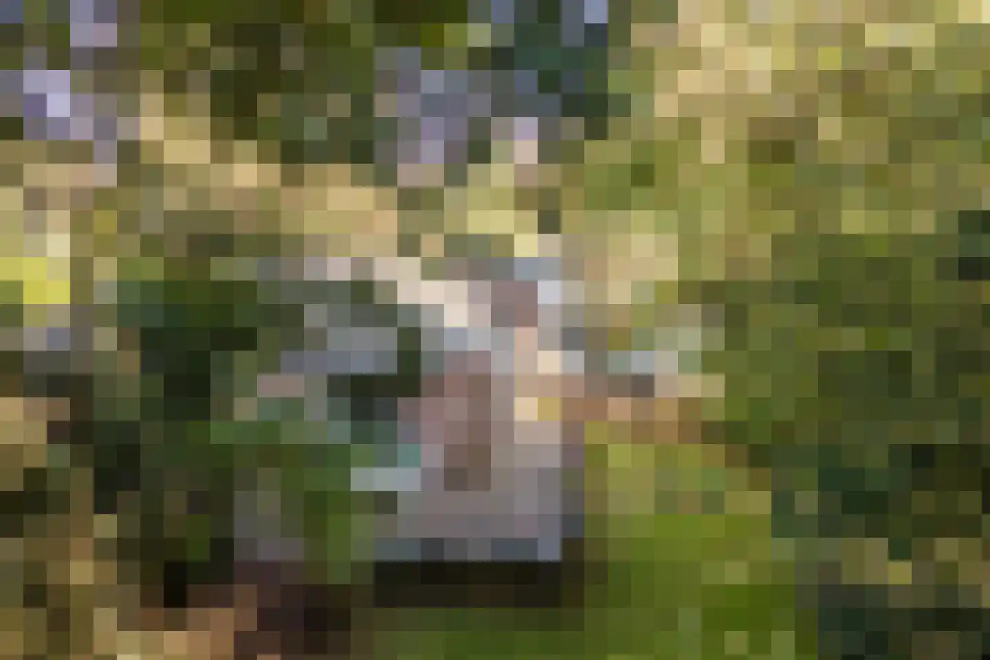 Stoffels 220 Uden thumbnail 83