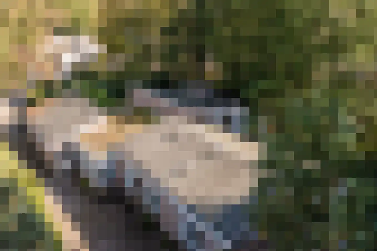Stoffels 220 Uden thumbnail 84