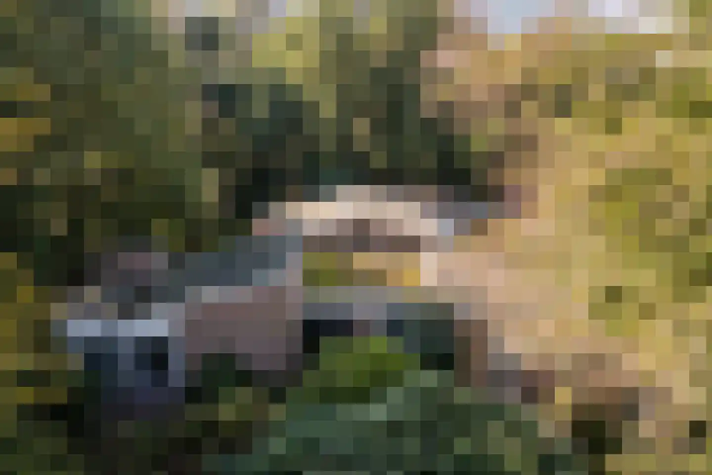 Stoffels 220 Uden thumbnail 9