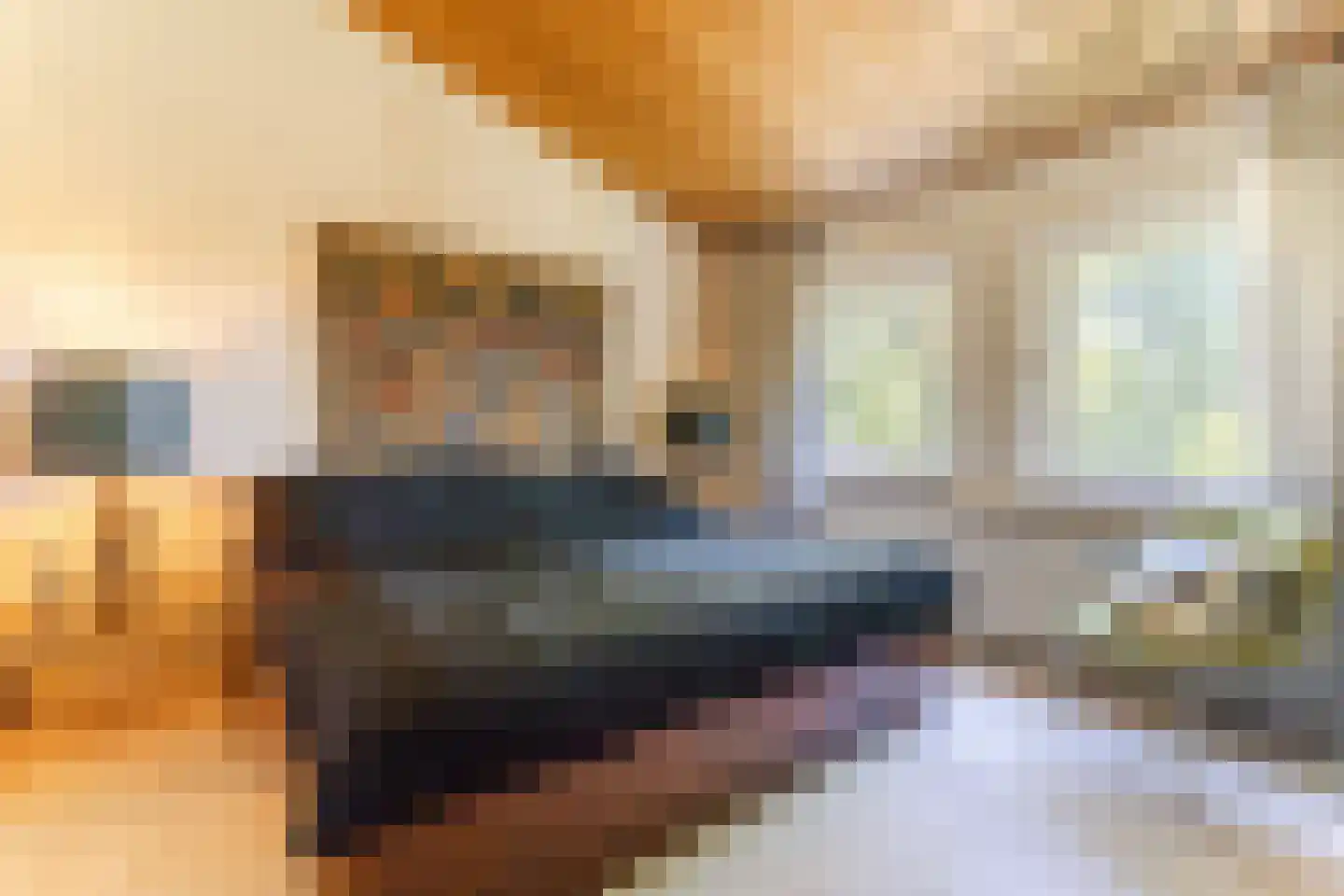 Stoffels 327 Uden thumbnail 26