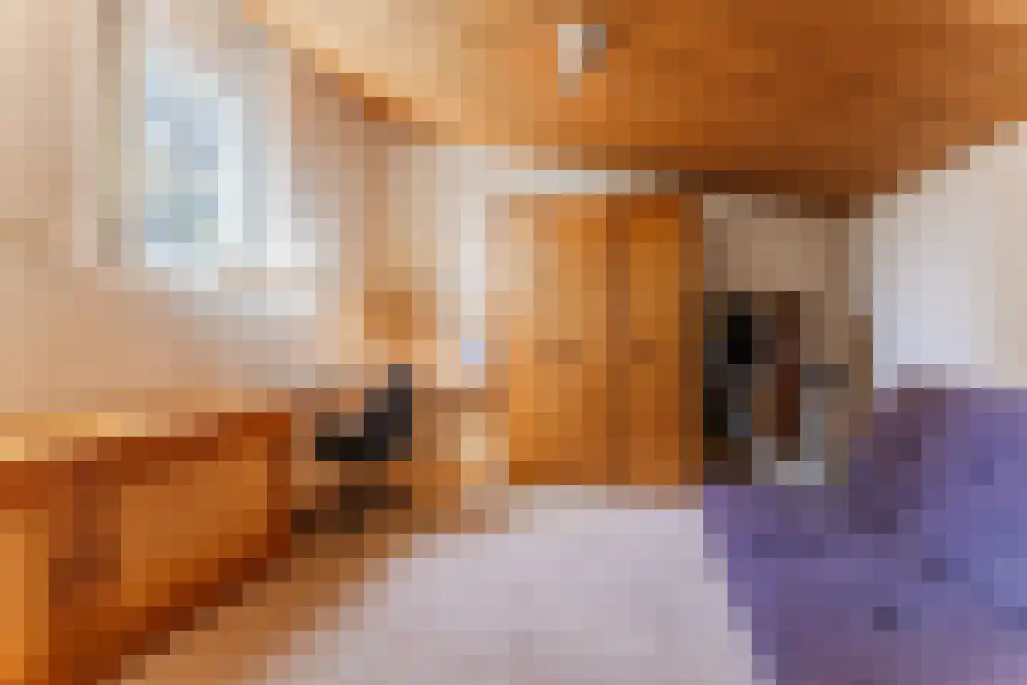 Stoffels 327 Uden thumbnail 35