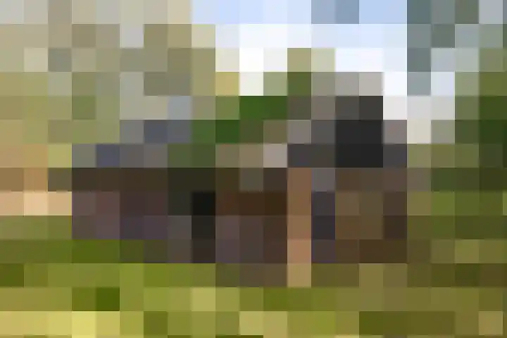 Stoffersweg 10 Geesteren thumbnail 34