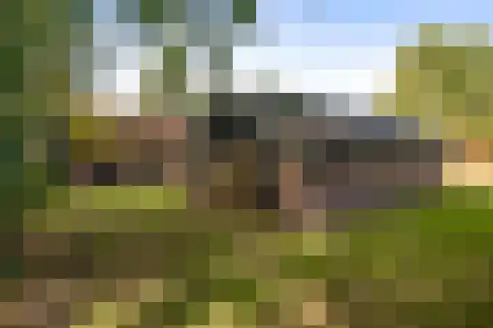 Stoffersweg 10 Geesteren thumbnail 35