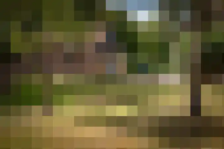 Stoffersweg 10 Geesteren thumbnail 37