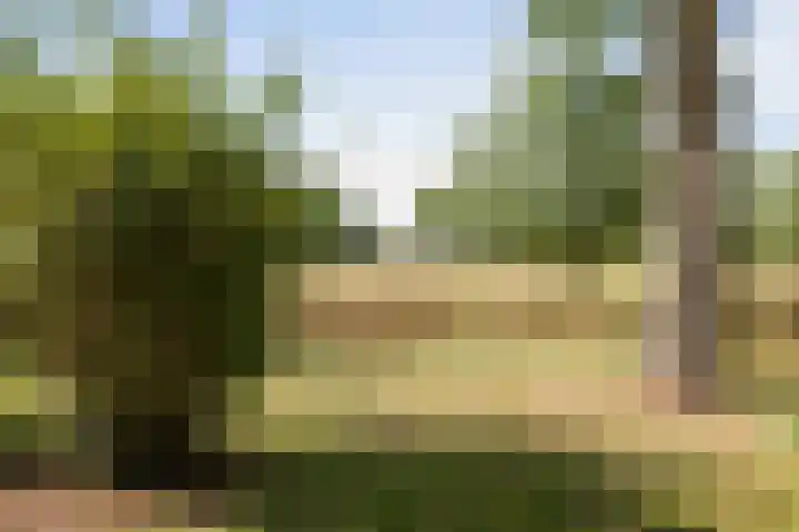 Stoffersweg 10 Geesteren thumbnail 38