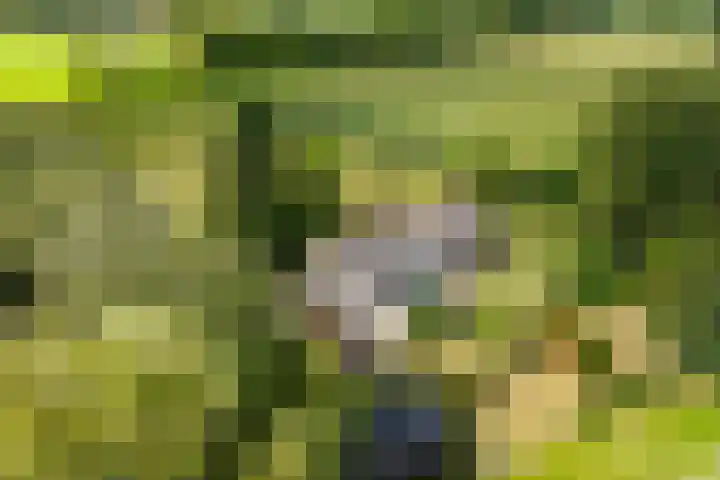 Stoffersweg 10 Geesteren thumbnail 4