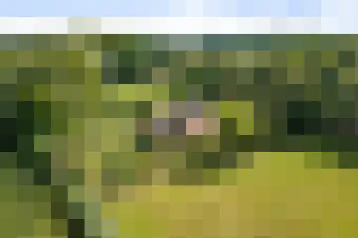 Stoffersweg 10 Geesteren thumbnail 45