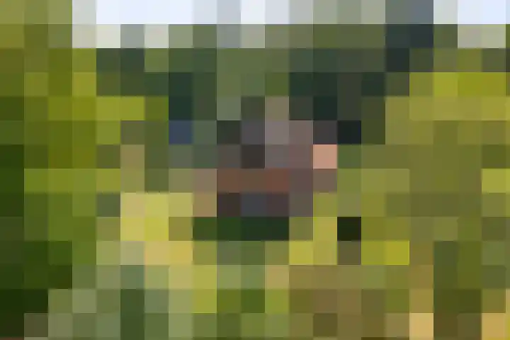 Stoffersweg 10 Geesteren thumbnail 46