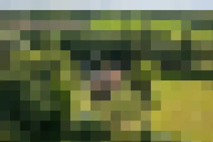 Stoffersweg 10 Geesteren thumbnail 47