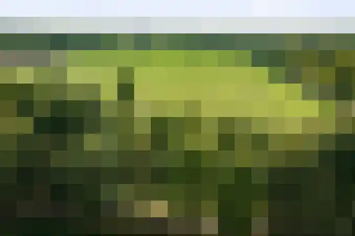 Stoffersweg 10 Geesteren thumbnail 48