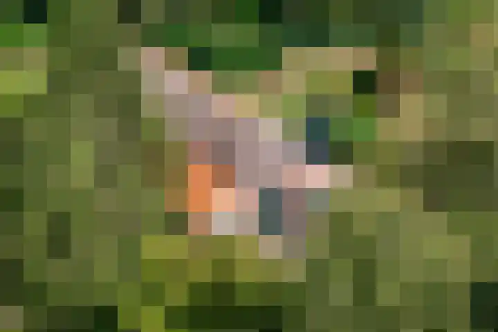 Stoffersweg 10 Geesteren thumbnail 49