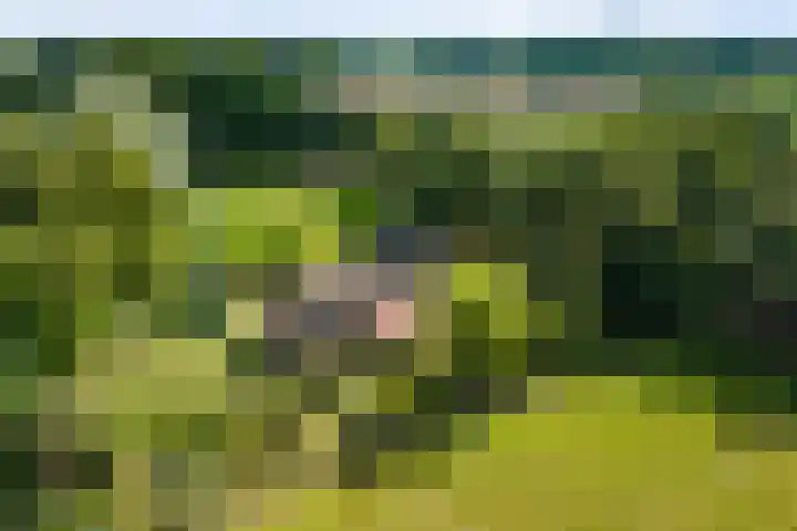 Stoffersweg 10 Geesteren thumbnail 5