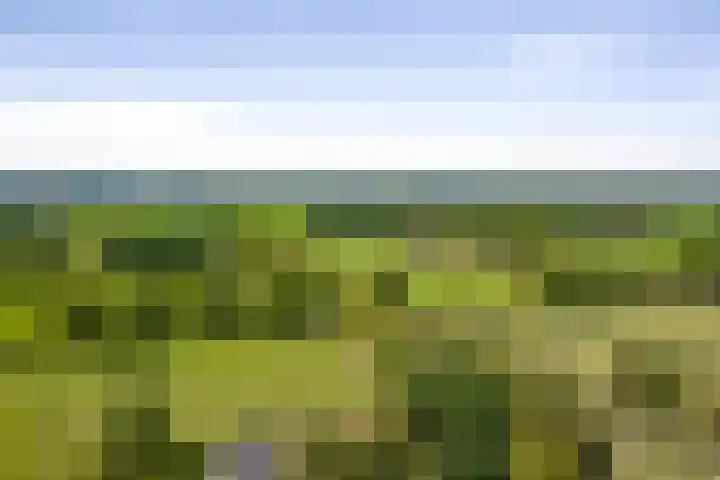 Stoffersweg 10 Geesteren thumbnail 50