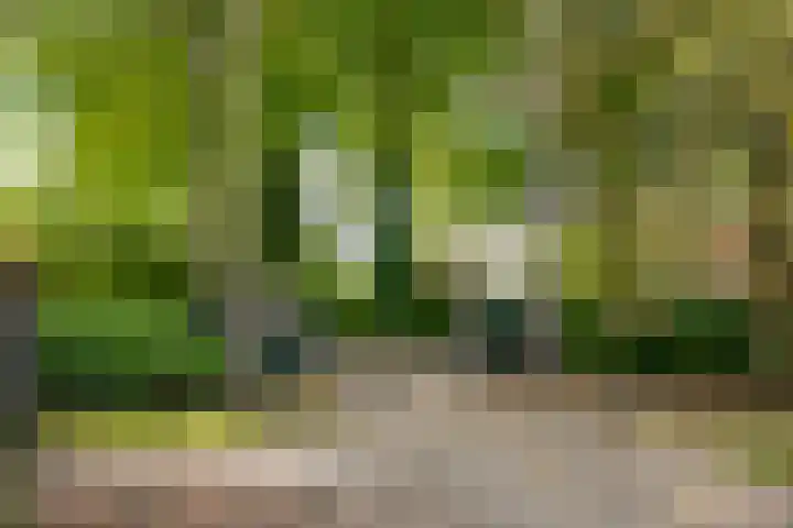 Stoffersweg 10 Geesteren thumbnail 53