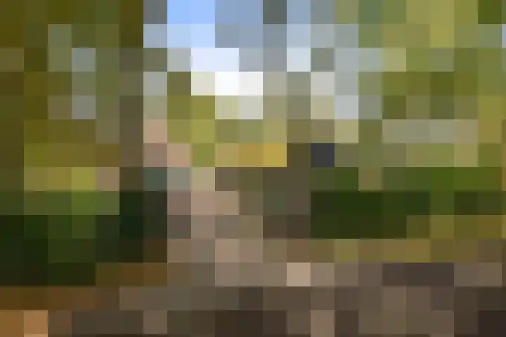 Stoffersweg 10 Geesteren thumbnail 54