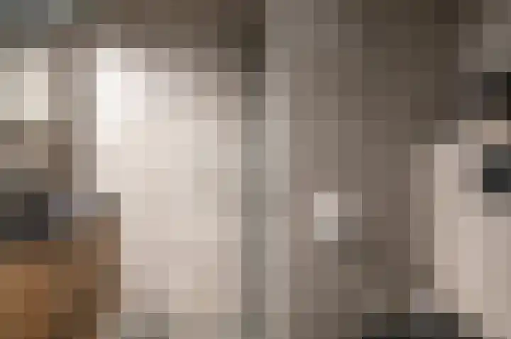 Stoffersweg 11 b Ruinen thumbnail 14