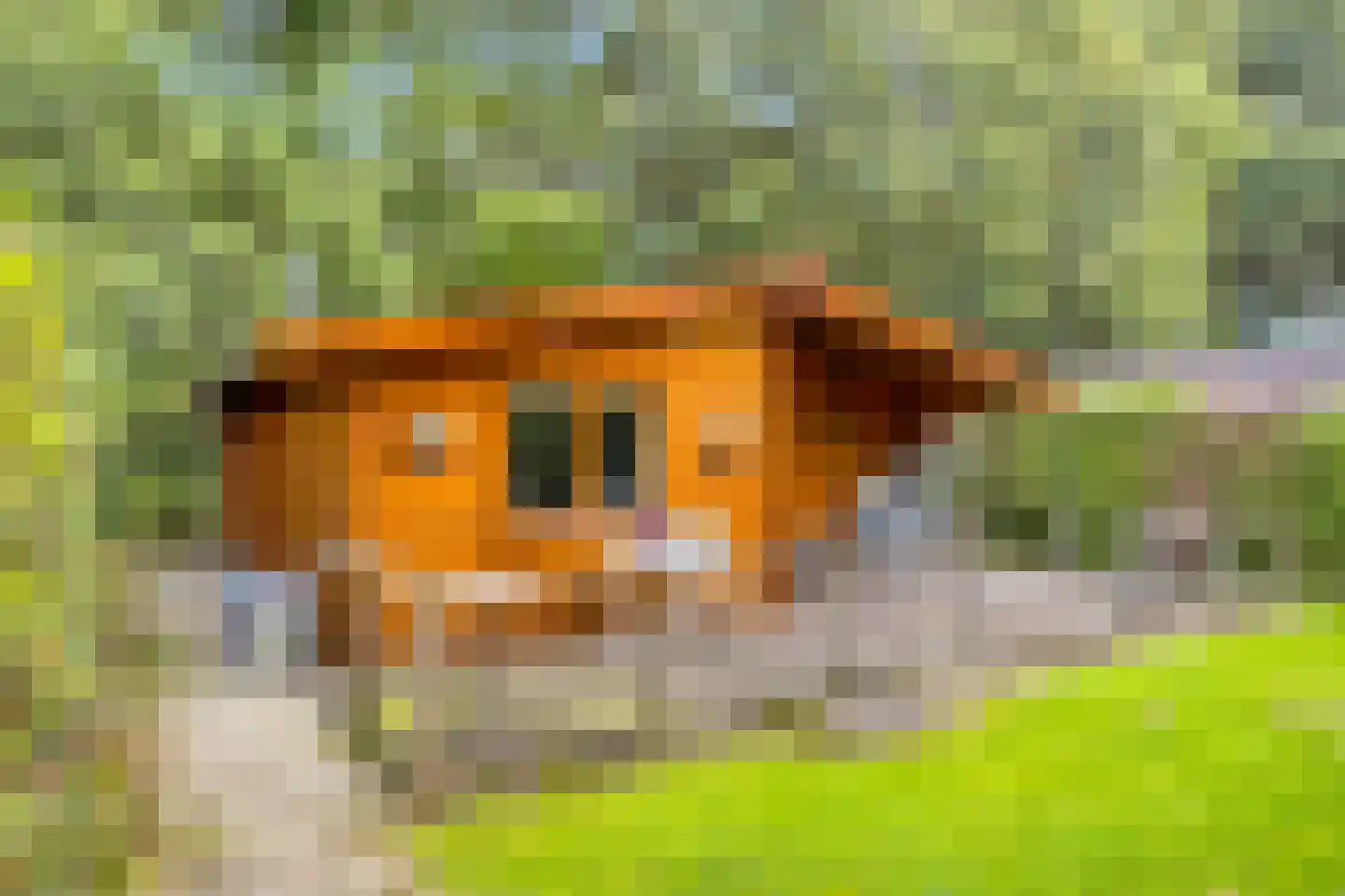 Stoffersweg 8 14 Geesteren