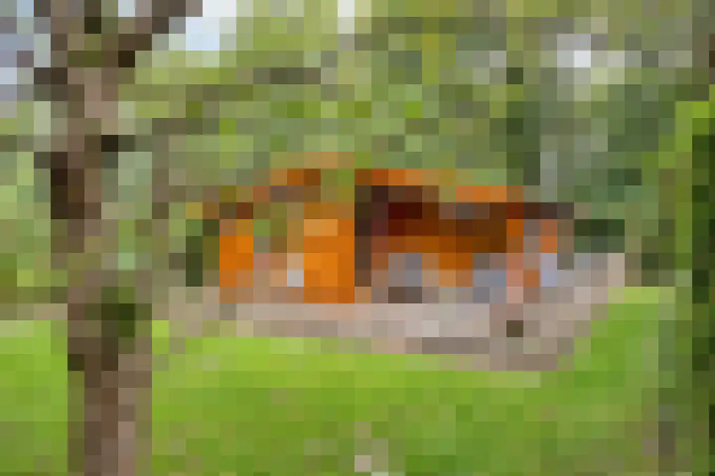 Stoffersweg 8 14 Geesteren thumbnail 12