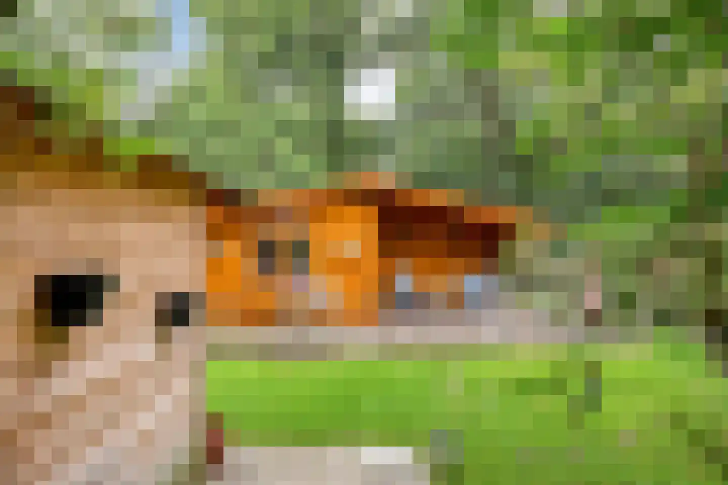 Stoffersweg 8 14 Geesteren thumbnail 13