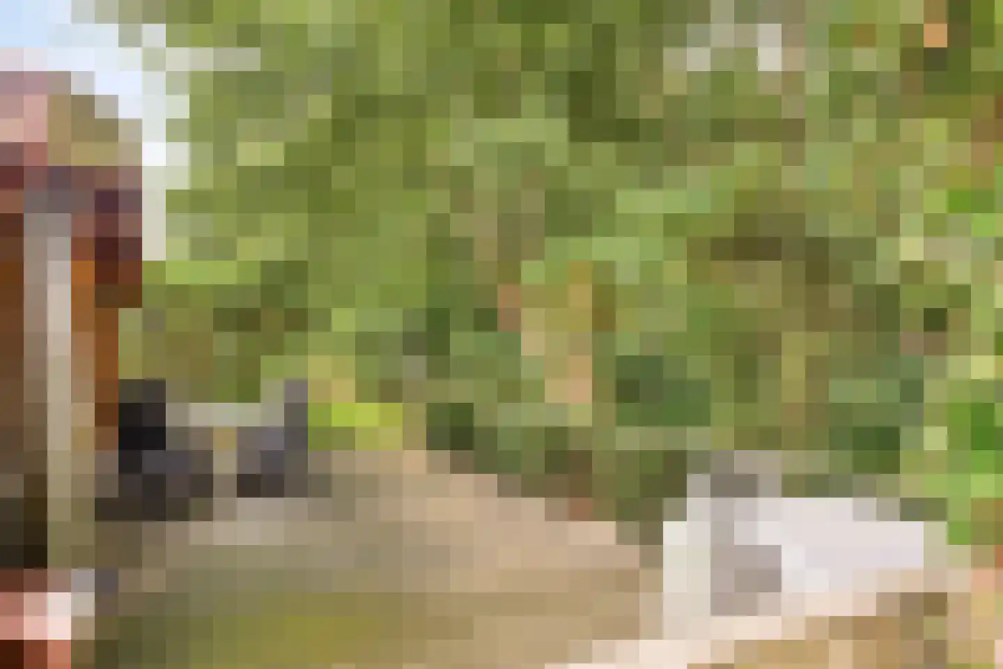 Stoffersweg 8 14 Geesteren thumbnail 15