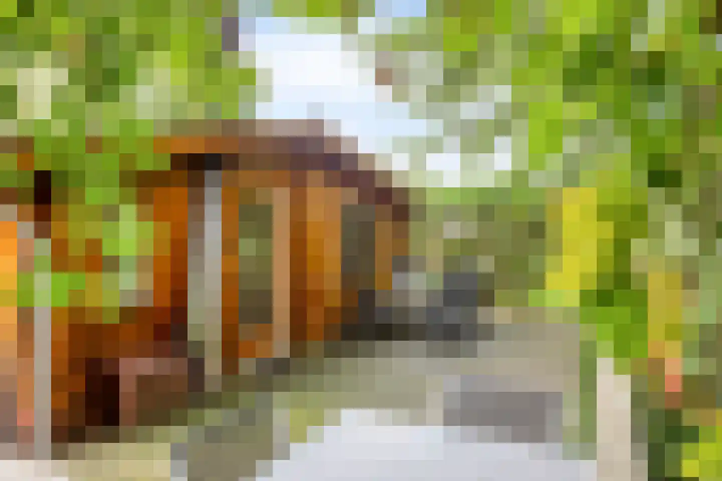 Stoffersweg 8 14 Geesteren thumbnail 16