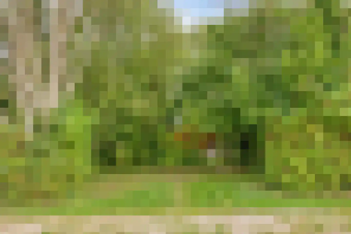 Stoffersweg 8 14 Geesteren thumbnail 17