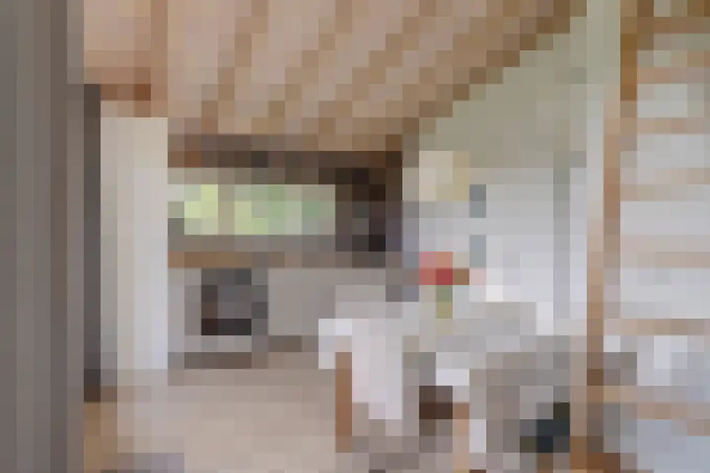 Stoffersweg 8 24A Geesteren thumbnail 11