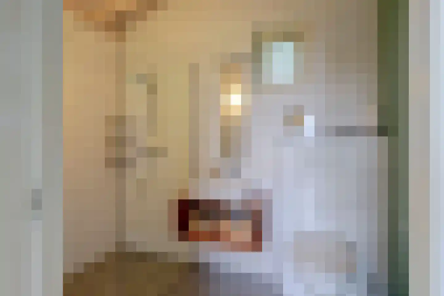 Stoffersweg 8 24A Geesteren thumbnail 13