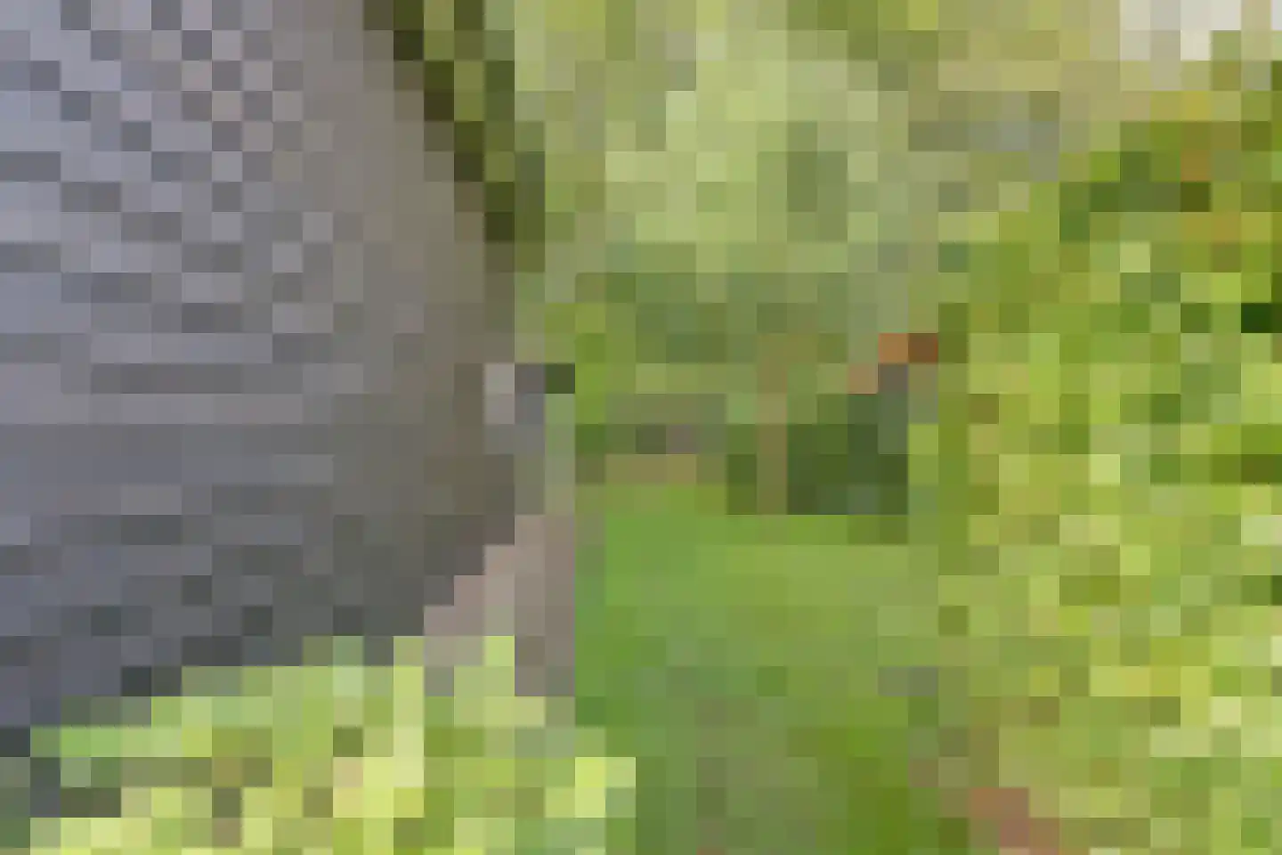 Stoffersweg 8 24A Geesteren thumbnail 17