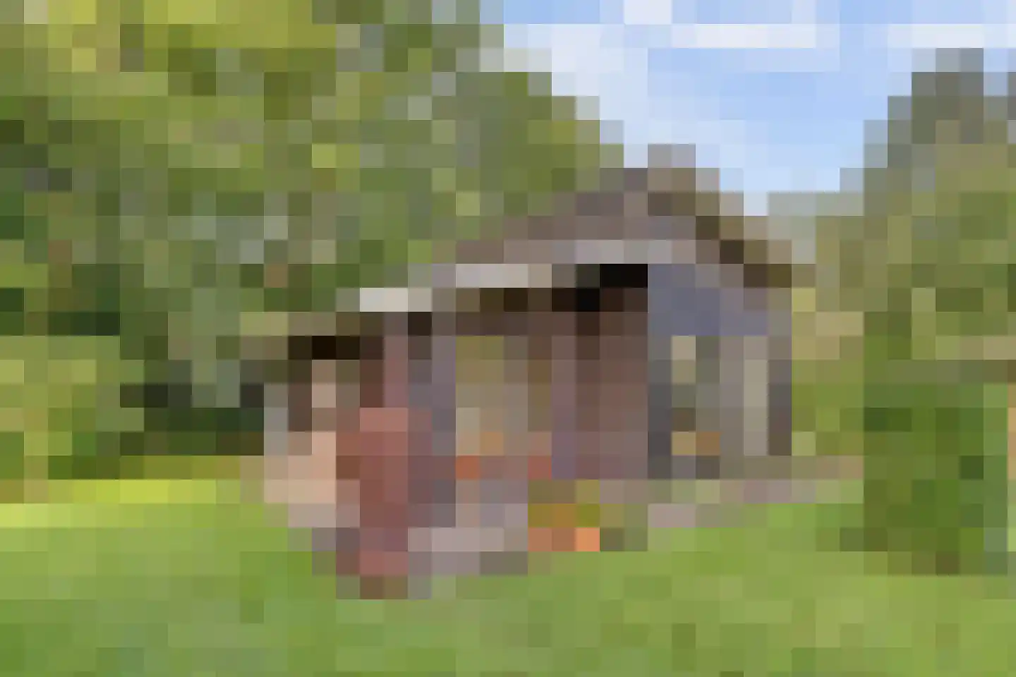 Stoffersweg 8 24A Geesteren thumbnail 18
