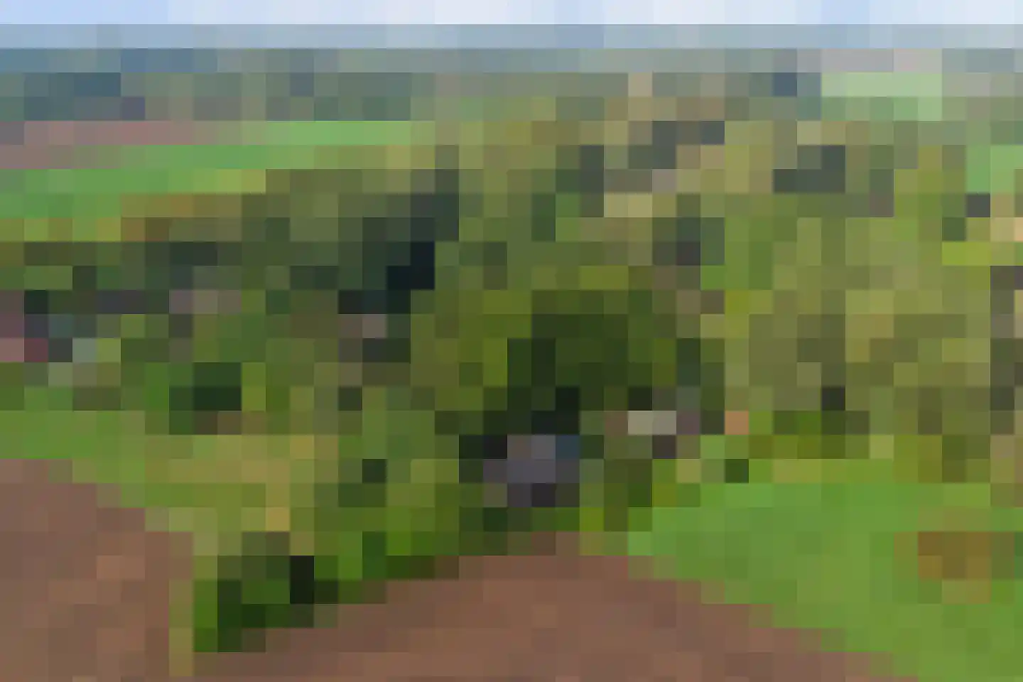 Stoffersweg 8 24A Geesteren thumbnail 4