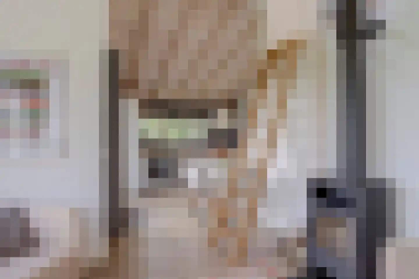 Stoffersweg 8 24A Geesteren thumbnail 6