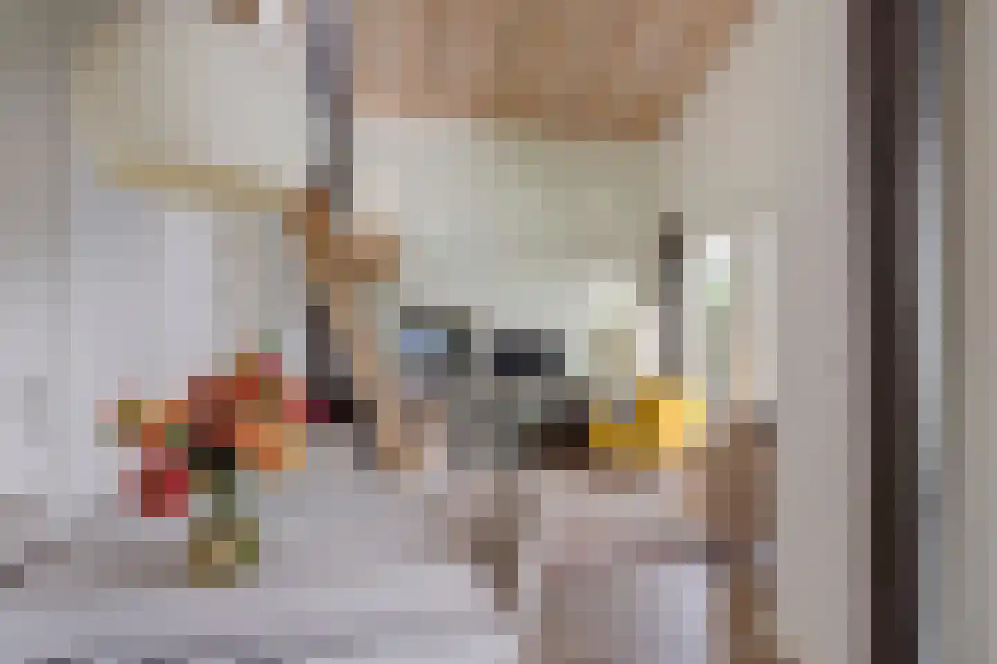 Stoffersweg 8 24A Geesteren thumbnail 9
