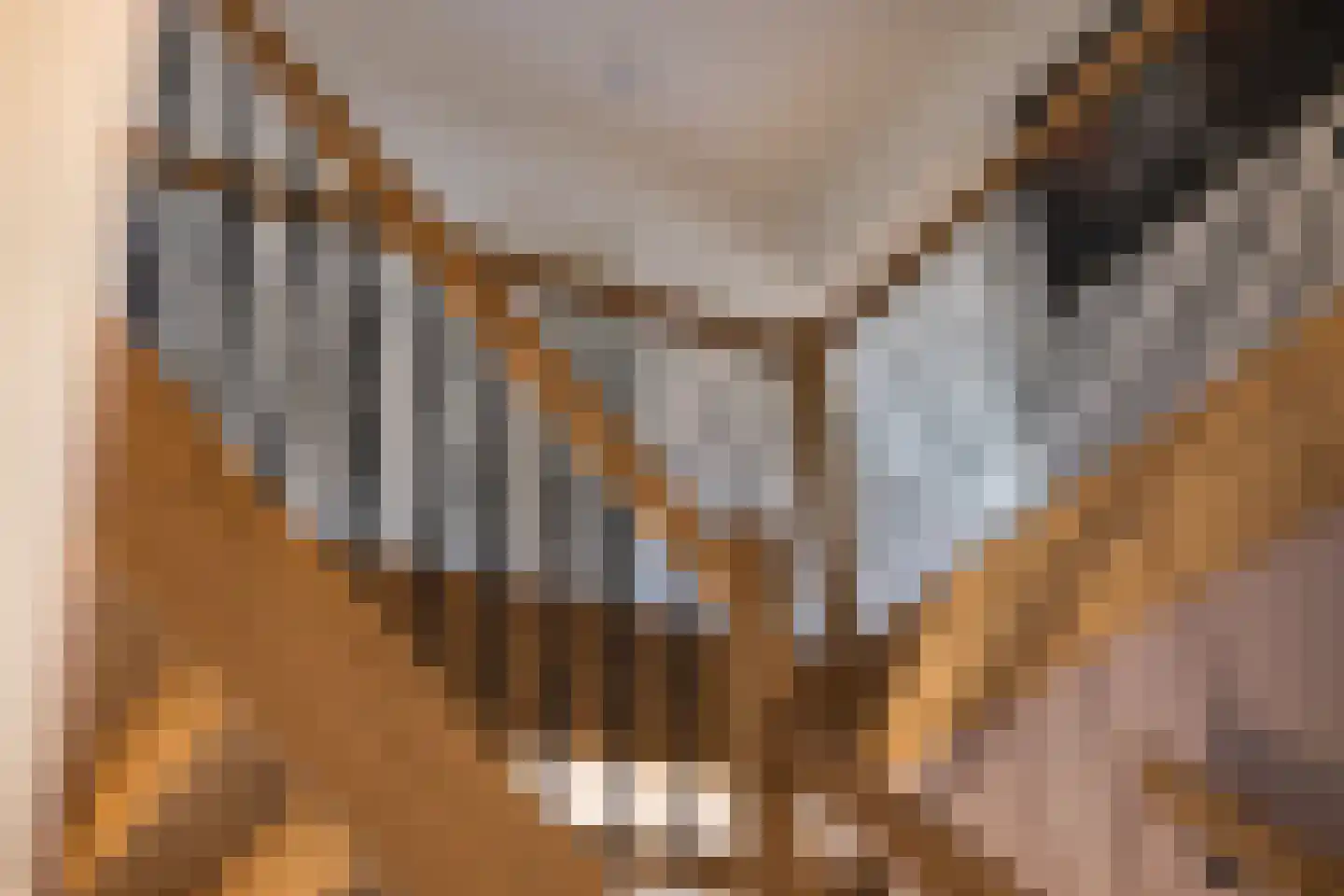 Stoffersweg 8 Geesteren thumbnail 28