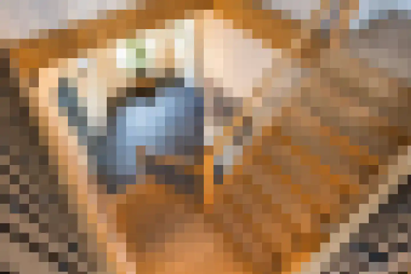 Stoffersweg 8 Geesteren thumbnail 29