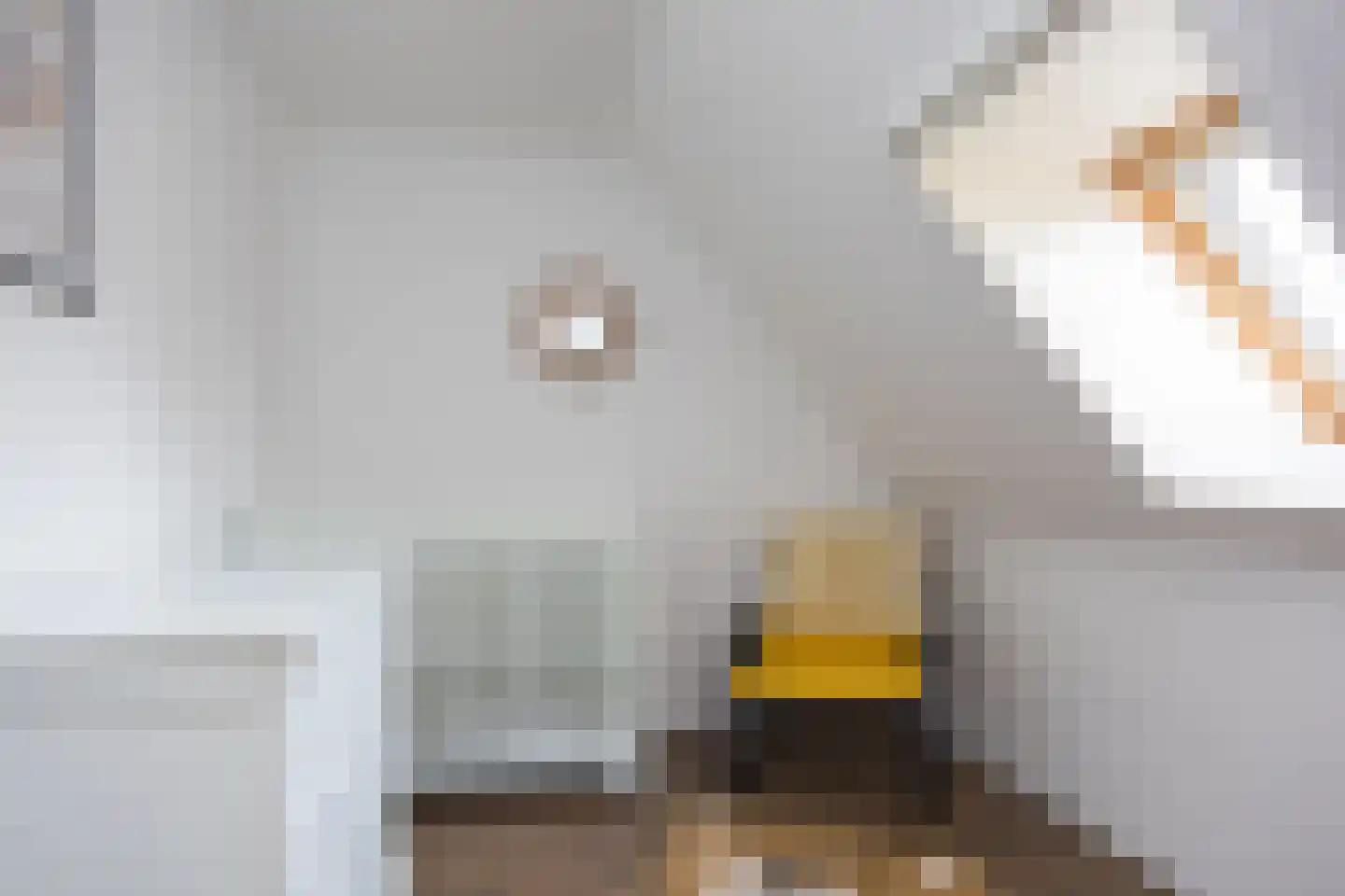 Stoffersweg 8 Geesteren thumbnail 37