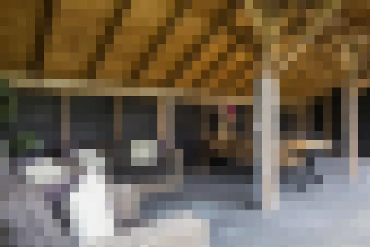 Stoffersweg 8 Geesteren thumbnail 42