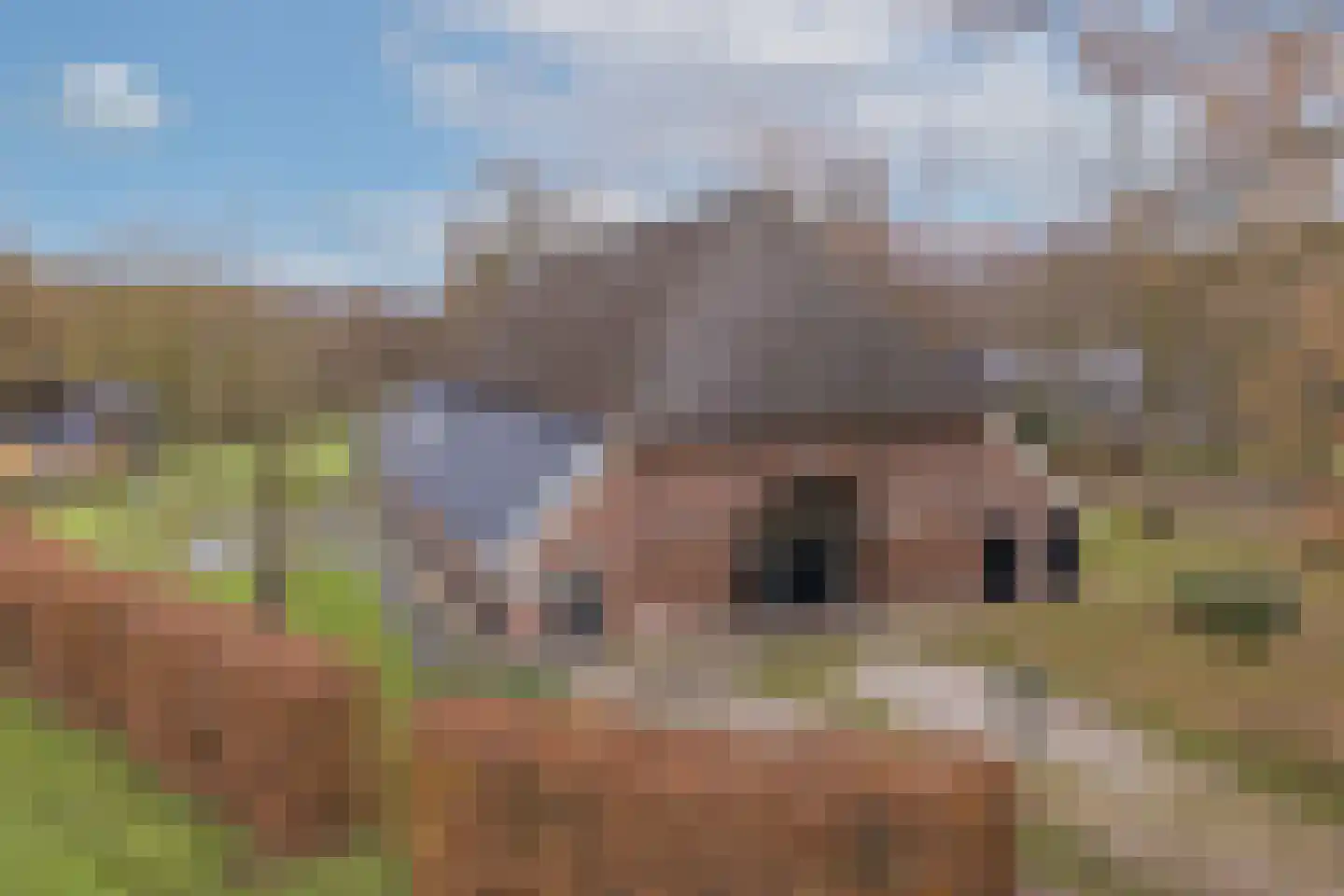 Stoffersweg 8 Geesteren thumbnail 47
