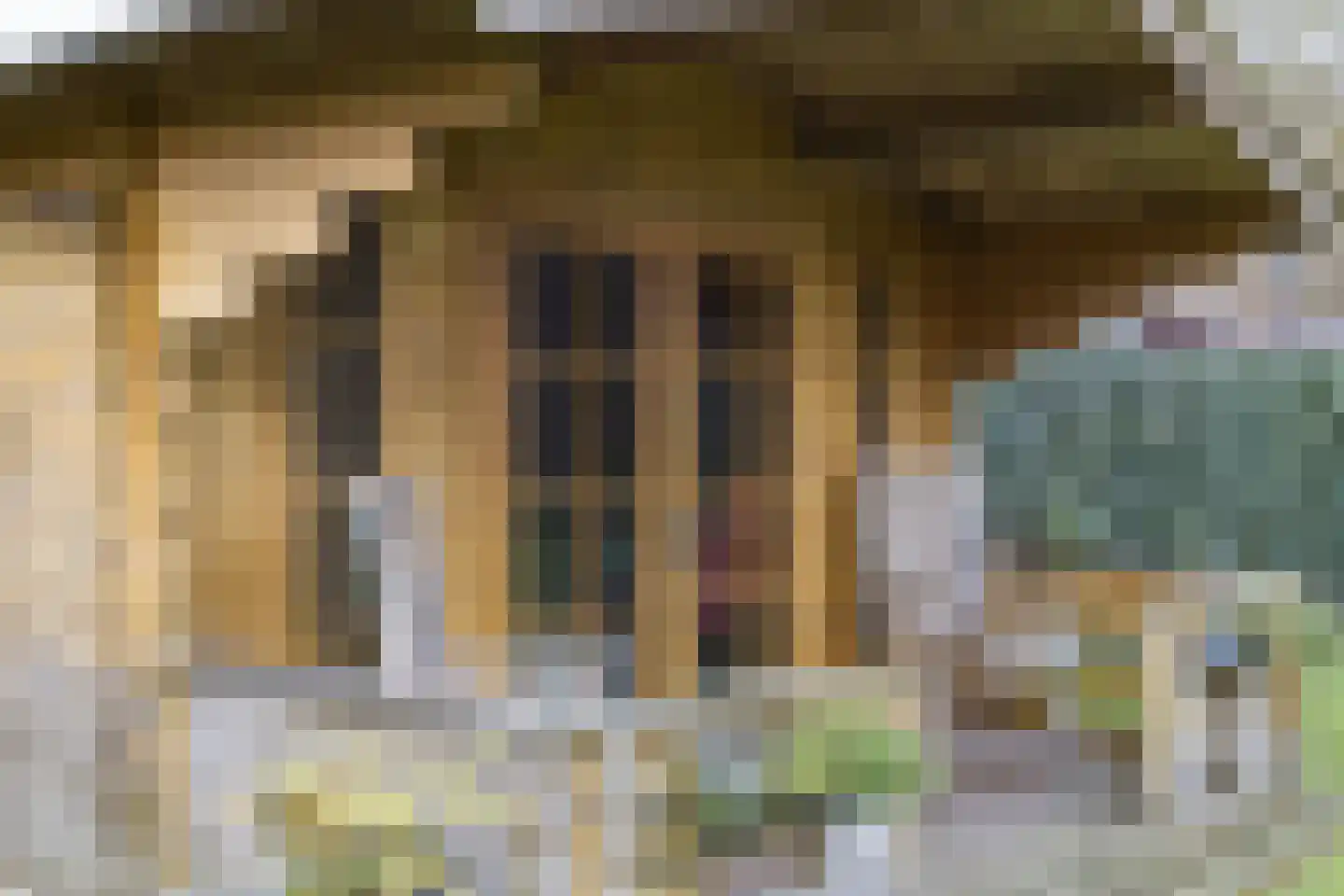 Stoffersweg 8 Geesteren thumbnail 52