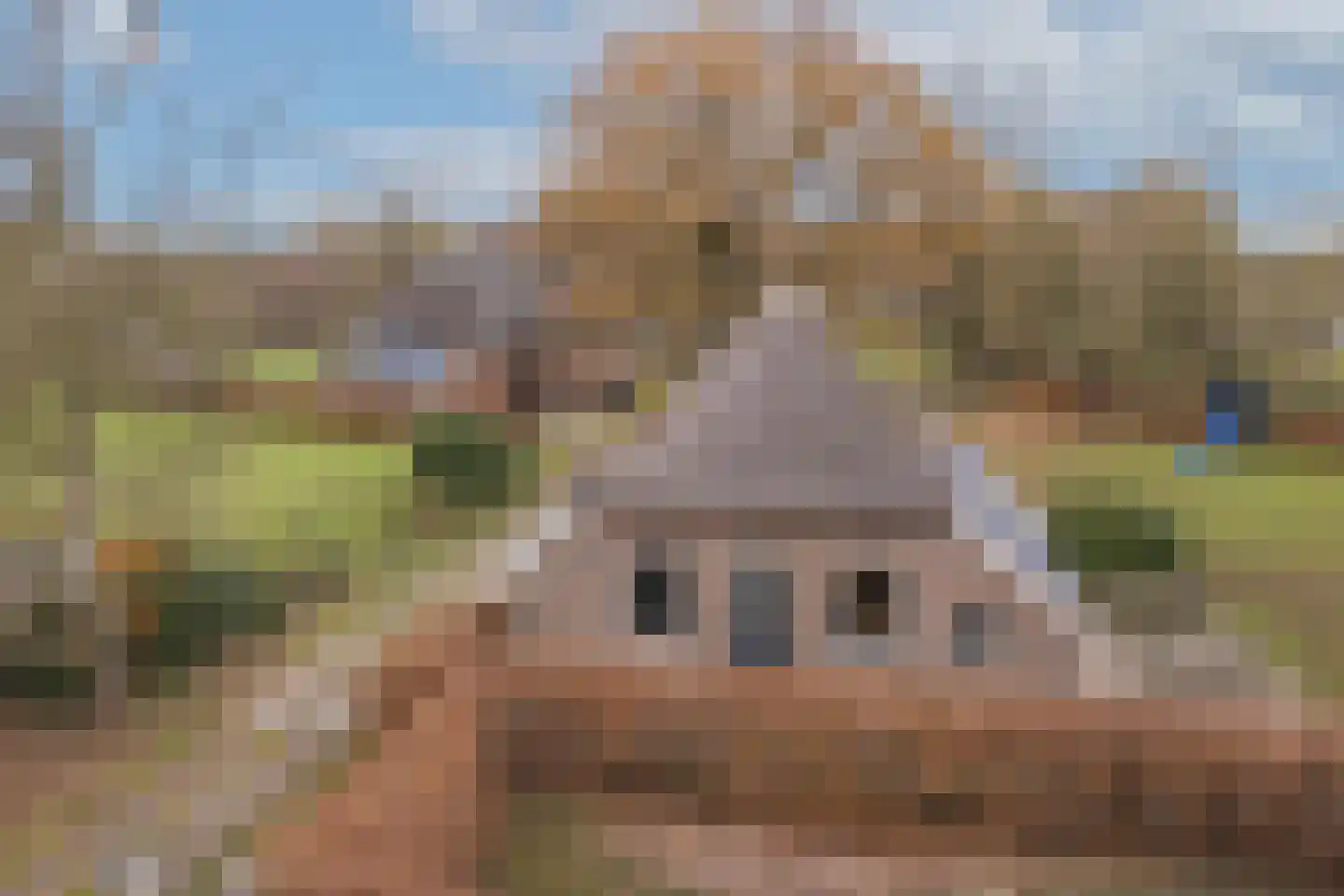 Stoffersweg 8 Geesteren thumbnail 68