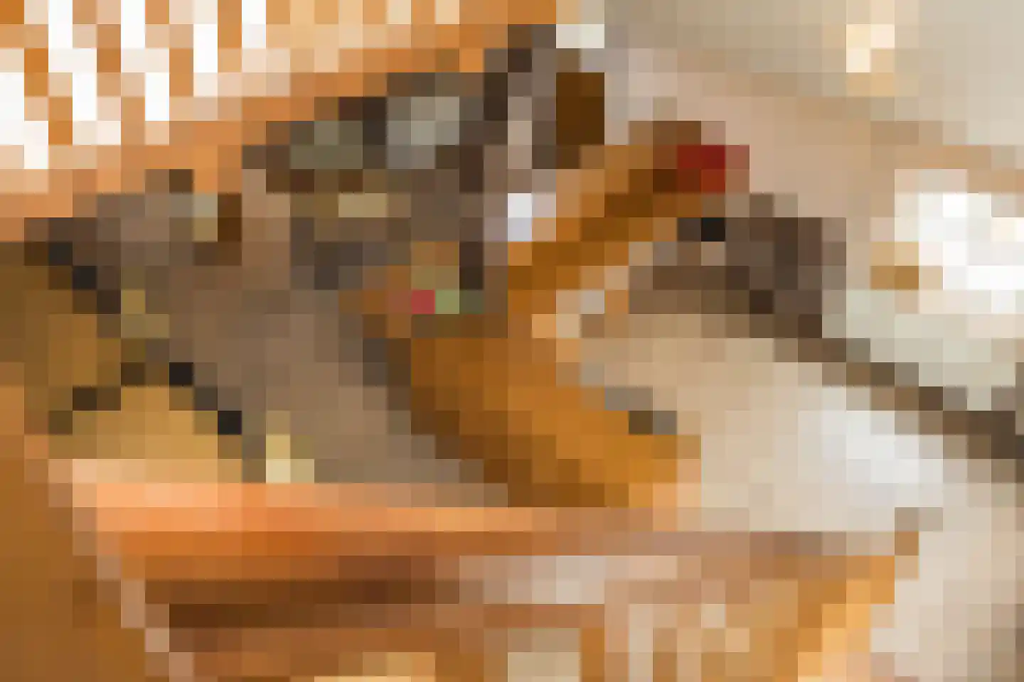 Stoffersweg 8 Geesteren thumbnail 74