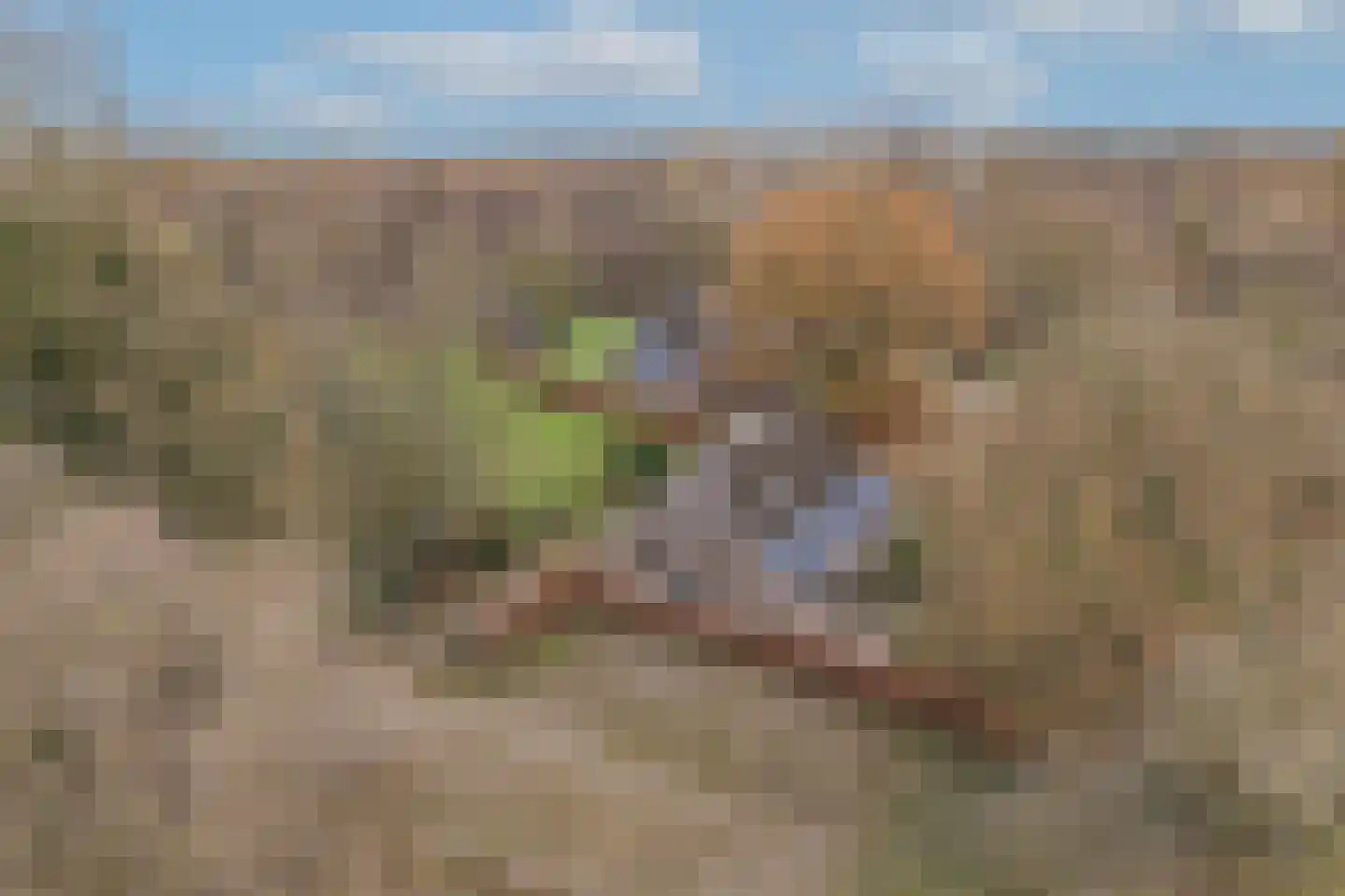 Stoffersweg 8 Geesteren thumbnail 81