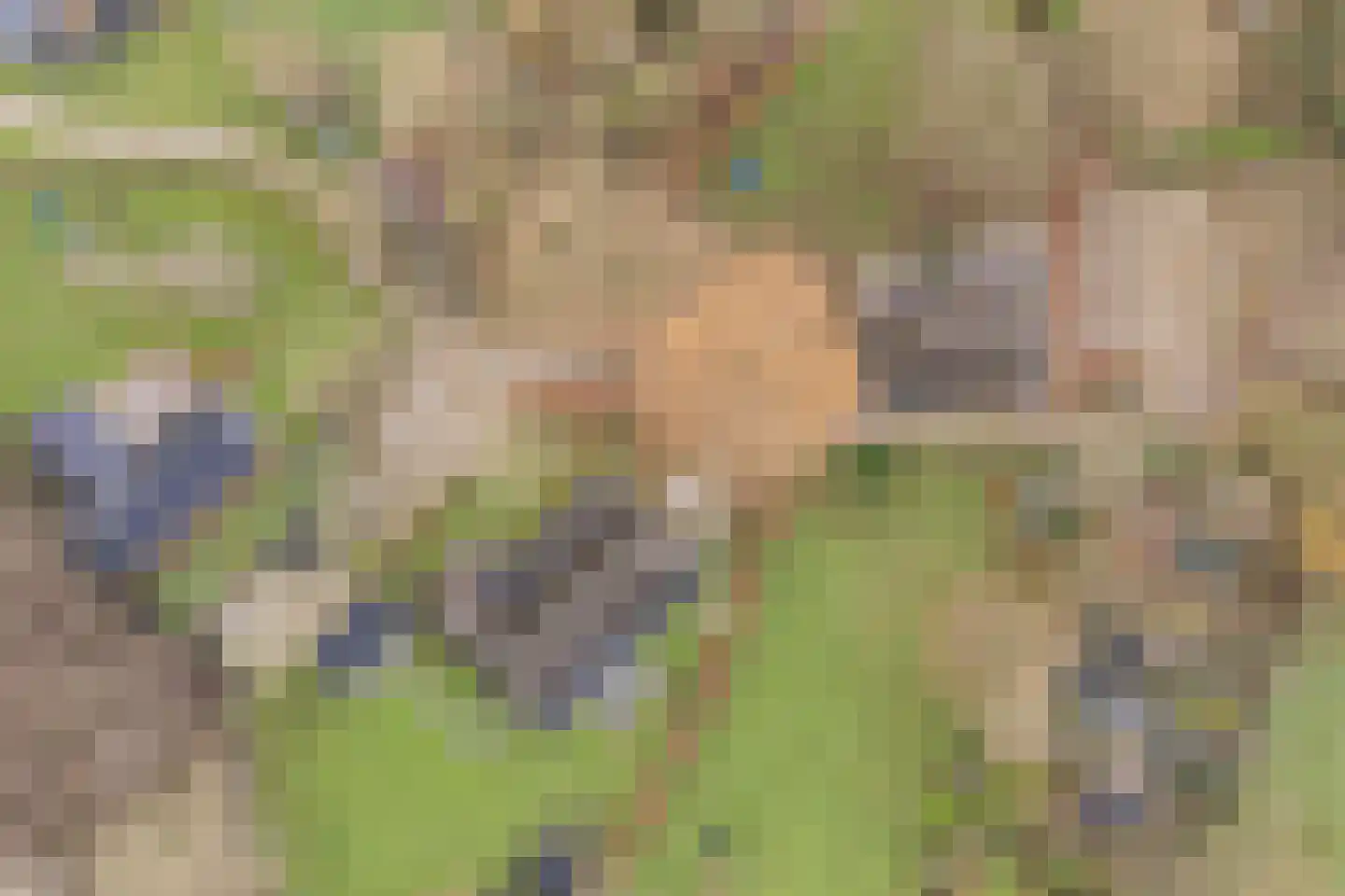 Stoffersweg 8 Geesteren thumbnail 82
