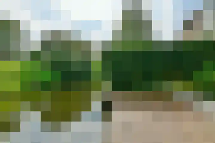 Stoholm 107 Hoofddorp thumbnail 38