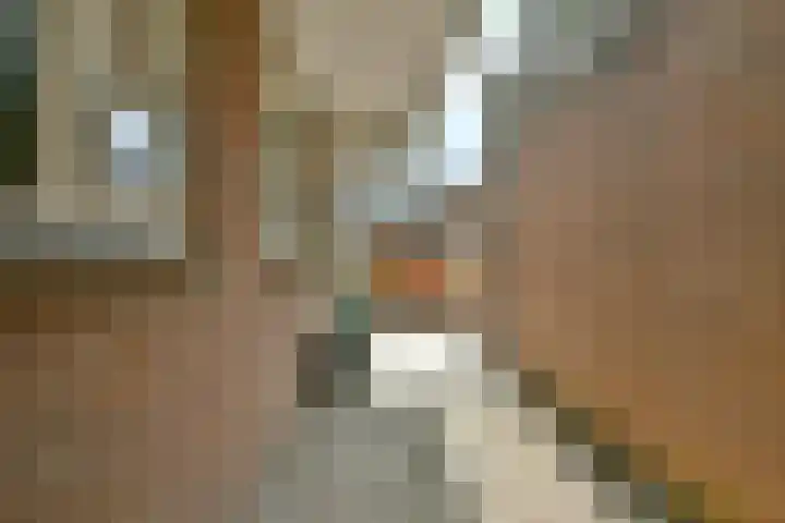 Stoholm 107 Hoofddorp thumbnail 6